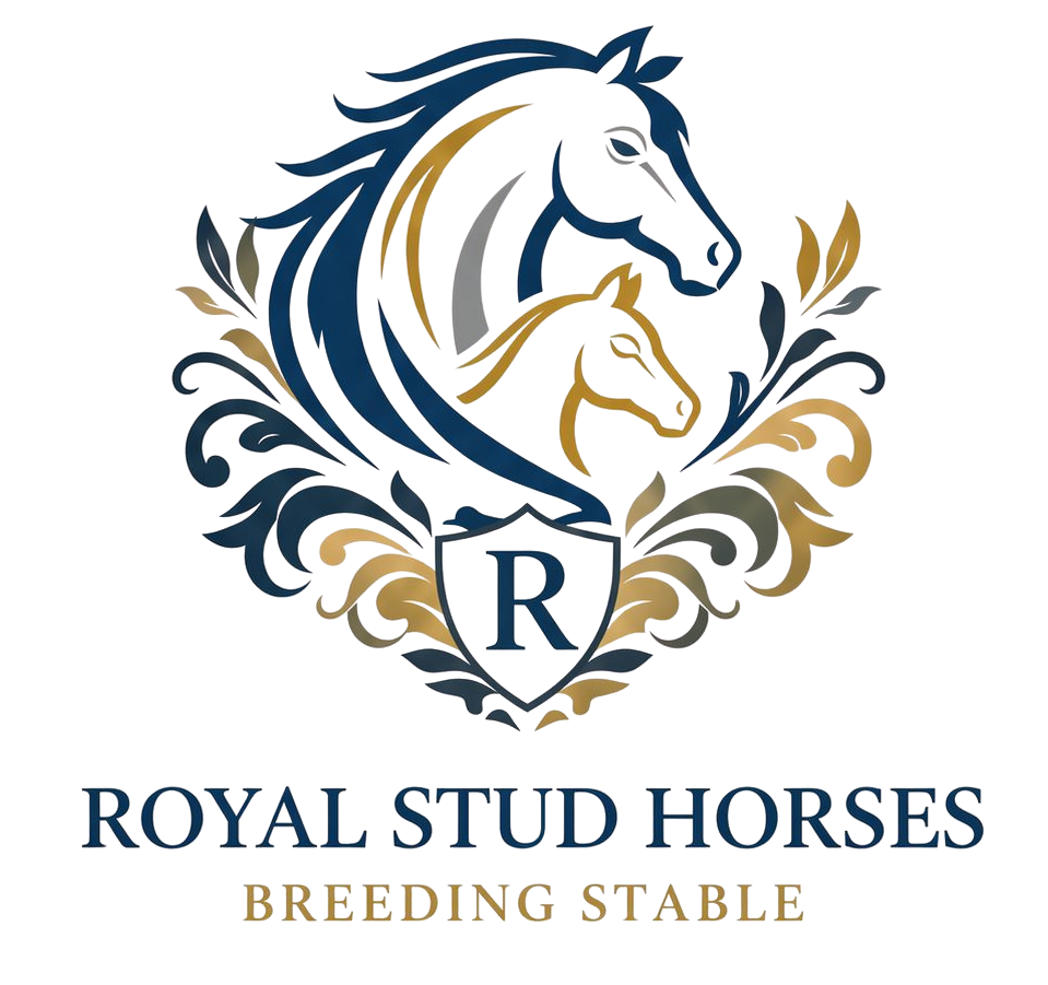 royalstudstable