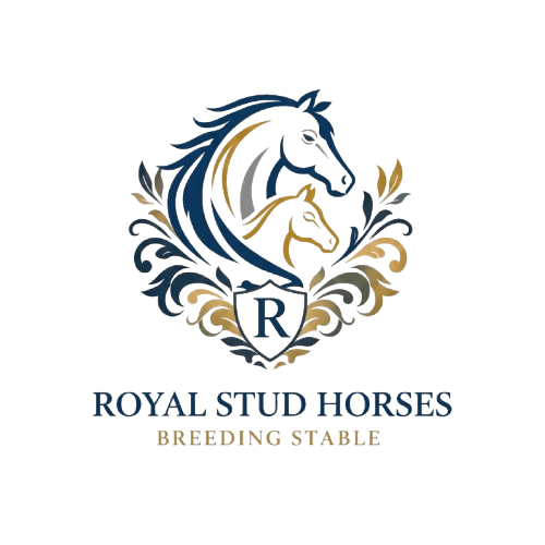 royalstudstable